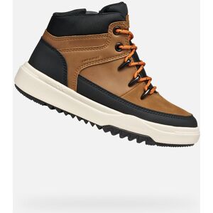 Light Brown Boys' Ankle Boots Geox Bunshee Abx - Boys Čierna 32 Light Brown Boys' Ankle Boots Geox Bunshee Abx - Boys Čierna 32