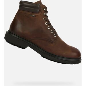 Hnedé Pánske Členkové Topánky Geox Faloria B Abx Čierna 40 Hnedé Pánske Členkové Topánky Geox Faloria B Abx Čierna 40