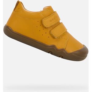 Žlté Chlapčenské Barefoot Topánky Geox Steppieup Hnedá 26 Žlté Chlapčenské Barefoot Topánky Geox Steppieup Hnedá 26