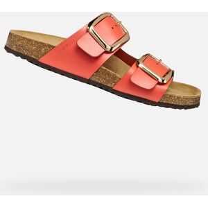 Červené Dámske Šľapky Geox Brionia R Hnedá 40 Červené Dámske Šľapky Geox Brionia R Hnedá 40