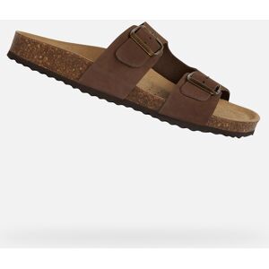 Tmavohnedé Dámske Papuče Geox Brionia Čierna 36 Tmavohnedé Dámske Papuče Geox Brionia Čierna 36