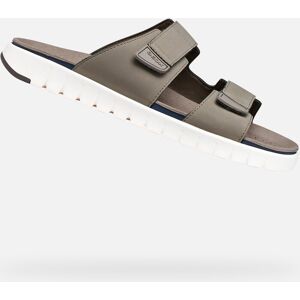 Šedé Pánske Sandále Geox Flextride S Biela 46 Šedé Pánske Sandále Geox Flextride S Biela 46