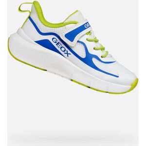 Biele Chlapčenské Tenisky Geox Pro-Ran Modrá 35 Biele Chlapčenské Tenisky Geox Pro-Ran Modrá 35