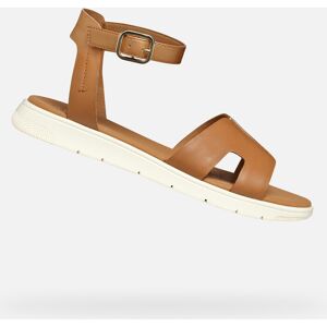 Hnedé Dámske Sandále Geox Dandra Biela 38 Hnedé Dámske Sandále Geox Dandra Biela 38