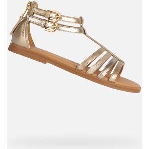 Strieborné Dievčenské Sandále Geox Hnedá 36 Strieborné Dievčenské Sandále Geox Hnedá 36