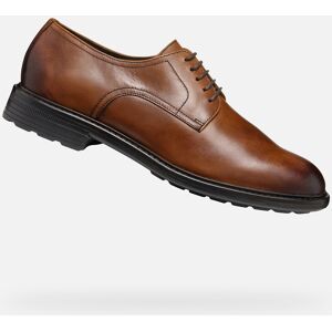 Brown Men'S Formal Shoes Geox Walk Pleasure - Men Hnedá 40 Brown Men'S Formal Shoes Geox Walk Pleasure - Men Hnedá 40