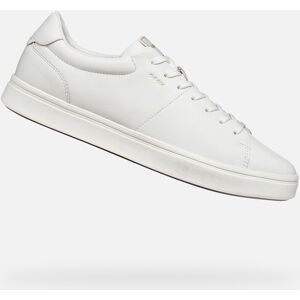 Biele Pánske Tenisky Geox Baltmoore Biela 44 Biele Pánske Tenisky Geox Baltmoore Biela 44