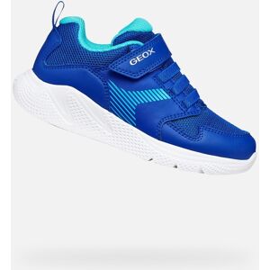 Modré Chlapčenské Tenisky Geox Sprintye - Boys Modrá 24 Modré Chlapčenské Tenisky Geox Sprintye - Boys Modrá 24