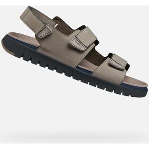 Šedé Pánske Sandále Geox Flextride Čierna 39 Šedé Pánske Sandále Geox Flextride Čierna 39