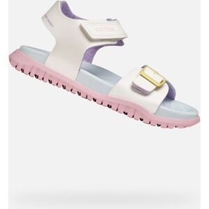 Biele Dievčenské Sandále Geox Fusbetto Biela 24 Biele Dievčenské Sandále Geox Fusbetto Biela 24