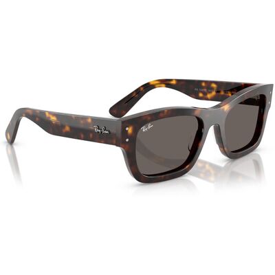 Ray-Ban Slnečné okuliare 0RB7683S Hnedá Ženy Ray-Ban Slnečné okuliare 0RB7683S Hnedá Ženy