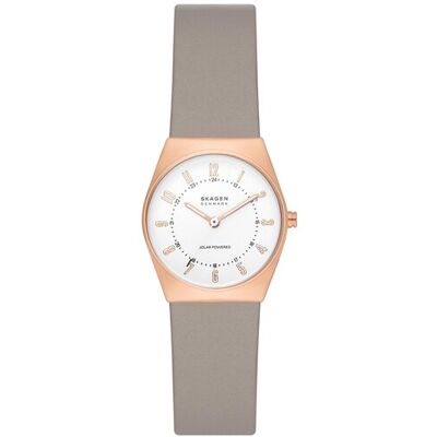 Skagen Hodinky SKW3079 Zlatá Ženy Skagen Hodinky SKW3079 Zlatá Ženy
