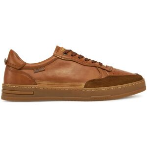 Pikolinos Sneakersy M1K-6383C1 Hnedá Muži Pikolinos Sneakersy M1K-6383C1 Hnedá Muži
