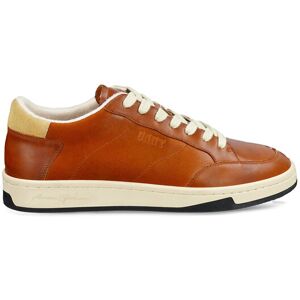Gant Sneakersy 31631028 Hnedá Muži Gant Sneakersy 31631028 Hnedá Muži