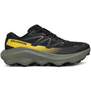Salomon Bežecké topánky Ultra Flow 2 Gore-Tex L47883200 Čierna Muži Salomon Bežecké topánky Ultra Flow 2 Gore-Tex L47883200 Čierna Muži