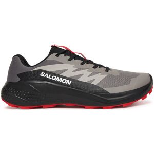 Salomon Bežecké topánky Alphaglide L48000800 Sivá Muži Salomon Bežecké topánky Alphaglide L48000800 Sivá Muži