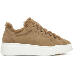 Max Mara Sneakersy Tmaxi 2524766192650 Hnedá Ženy Max Mara Sneakersy Tmaxi 2524766192650 Hnedá Ženy