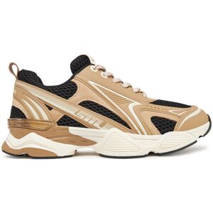 Steve Madden Sneakersy Speedster-E SM19000122 Béžová Ženy Steve Madden Sneakersy Speedster-E SM19000122 Béžová Ženy