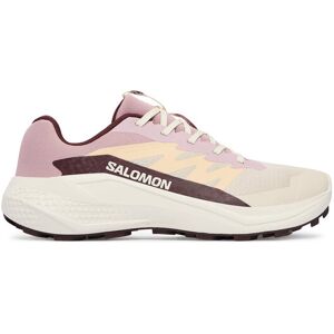 Salomon Bežecké topánky Alphaglide W L49092800 Écru Ženy Salomon Bežecké topánky Alphaglide W L49092800 Écru Ženy