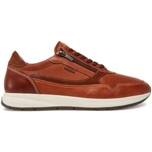 Pikolinos Sneakersy M2B-6263C1 Hnedá Muži Pikolinos Sneakersy M2B-6263C1 Hnedá Muži