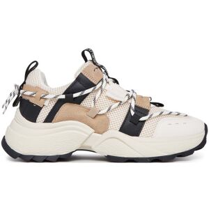 Steve Madden Sneakersy Tazmania SM11002419 Écru Ženy Steve Madden Sneakersy Tazmania SM11002419 Écru Ženy