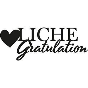 Creative Ruční práce razicí šablona pro ruční práce, srdečné blahopřání, vytváření komplexních designů pro scrapbooking, výrobu karet a jiné papírové projekty, stříbrná Creative Ruční práce razicí šablona pro ruční práce, srdečné blahopřání, vytváření komplexních designů pro scrapbooking, výrobu karet a jiné papírové projekty, stříbrná