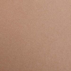 Clairefontaine 97474C fotoarton Pack, 25 archů Premium, Din A4, 21 x 29, 7 cm, 300 g, hnědá Clairefontaine 97474C fotoarton Pack, 25 archů Premium, Din A4, 21 x 29, 7 cm, 300 g, hnědá