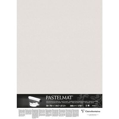 Clairefontaine 96020C balení (s 5 archy pastelátu, 50 x 70, 360 g, ideální pro suché techniky a pastely) světle šedé Clairefontaine 96020C balení (s 5 archy pastelátu, 50 x 70, 360 g, ideální pro suché techniky a pastely) světle šedé