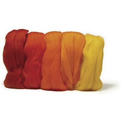 Rayher Hobby – 5364900 – Merino česaná vlna, super jemná, 18 mic,5 barev à 10 g Rayher Hobby – 5364900 – Merino česaná vlna, super jemná, 18 mic,5 barev à 10 g