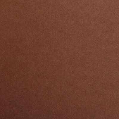 Clairefontaine 97361C balení (s 25 listy kreslícího papíru Maya, DIN A4, 21 x 29,7 cm, 120 g, hladký, ideální pro suchou techniku a rámování), tmavě hnědá Clairefontaine 97361C balení (s 25 listy kreslícího papíru Maya, DIN A4, 21 x 29,7 cm, 120 g, hladký, ideální pro suchou techniku a rámování), tmavě hnědá
