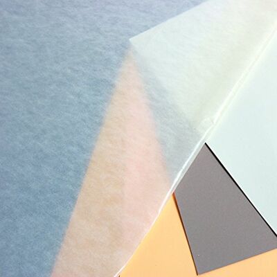 Clairefontaine 93476C balení (s 20 archy pergamenového papíru 45 g, 73 x 101 cm, 100% recyklovatelné, pro ochranu dvou pastelových listů nebo vhodné jako mezilisty herbarie) transparentní Clairefontaine 93476C balení (s 20 archy pergamenového papíru 45 g, 73 x 101 cm, 100% recyklovatelné, pro ochranu dvou pastelových listů nebo vhodné jako mezilisty herbarie) transparentní