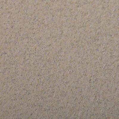 Clairefontaine 93856C balení (s 25 listy kreslicí papír Etival Color, DIN A4, 21 x 29,7 cm, 160 g, zrnitý, ideální pro suchou techniku a rámování) šampaňské Clairefontaine 93856C balení (s 25 listy kreslicí papír Etival Color, DIN A4, 21 x 29,7 cm, 160 g, zrnitý, ideální pro suchou techniku a rámování) šampaňské