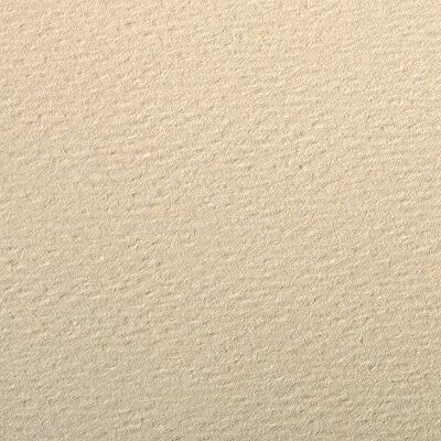 Clairefontaine 93882C balení (s 25 listy kreslicí papír Etival Color, DIN A4, 21 x 29,7 160 g, zrnitá, ideální pro suchou techniku a rámování) slonová kost Clairefontaine 93882C balení (s 25 listy kreslicí papír Etival Color, DIN A4, 21 x 29,7 160 g, zrnitá, ideální pro suchou techniku a rámování) slonová kost