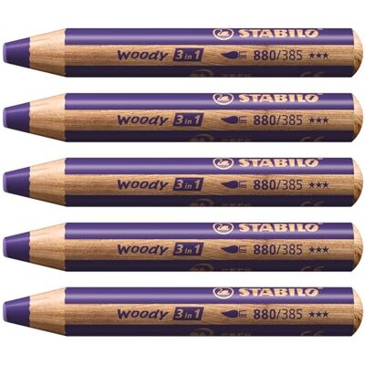 STABILO Pastelka, vodová barva a voskovka woody 3 v 1 STABILO Pastelka, vodová barva a voskovka woody 3 v 1