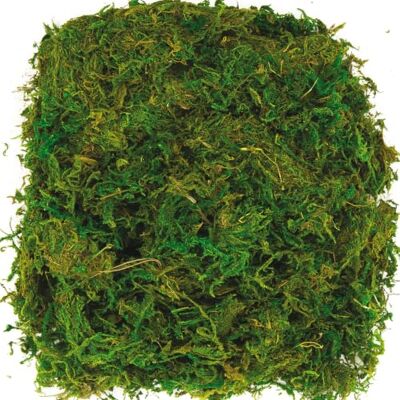 Baker Ross AV898 mech, sušený, 100 g, zelený, NA Baker Ross AV898 mech, sušený, 100 g, zelený, NA