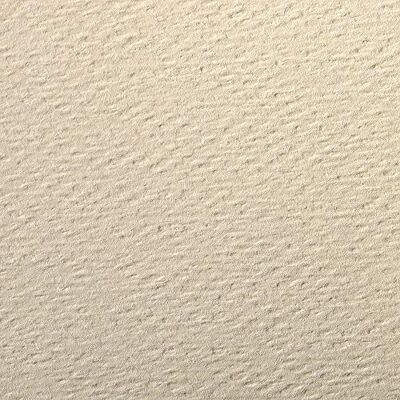 Clairefontaine 93891C balení (s 25 listy kreslícího papíru Etival Color, DIN A4, 21 x 29,7 cm, 160 g, zrnitá, ideální pro suchou techniku a rámování), barva skořápek vajec Clairefontaine 93891C balení (s 25 listy kreslícího papíru Etival Color, DIN A4, 21 x 29,7 cm, 160 g, zrnitá, ideální pro suchou techniku a rámování), barva skořápek vajec