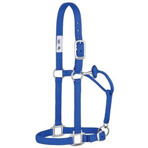 Weaver Equine Weaver Leather Original Pferdehalfter, Nylon, Nicht verstellbar, groß, Blau Weaver Equine Weaver Leather Original Pferdehalfter, Nylon, Nicht verstellbar, groß, Blau