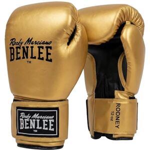 BENLEE Boxerské rukavice Rodney, tréninkové rukavice pro začátečníky, vícevrstvá pěnová technologie, bezpečný suchý zip na zápěstí, boxerské a bojové sportovní rukavice na trénink BENLEE Boxerské rukavice Rodney, tréninkové rukavice pro začátečníky, vícevrstvá pěnová technologie, bezpečný suchý zip na zápěstí, boxerské a bojové sportovní rukavice na trénink
