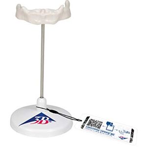 3B Scientific Model jazykové kosti A71/9 + bezplatná aplikace pro anatomie – 3B Smart Anatomy 3B Scientific Model jazykové kosti A71/9 + bezplatná aplikace pro anatomie – 3B Smart Anatomy
