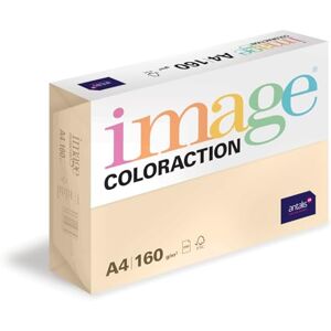 Antalis Image Coloraction Dune barevný papír do kopírky DIN A4, 210 x 297 mm, 160 g/m² barevný, bezdřevý papír do tiskárny do kopírky 250 listů krémová Antalis Image Coloraction Dune barevný papír do kopírky DIN A4, 210 x 297 mm, 160 g/m² barevný, bezdřevý papír do tiskárny do kopírky 250 listů krémová