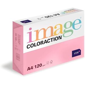 Antalis Image Coloraction Coral farbiges Kopierpapier DIN A4, 210 x 297 mm, 120 g/m² buntes, holzfreies Druckerpapier für Kopierer 250 Blatt Rosa Antalis Image Coloraction Coral farbiges Kopierpapier DIN A4, 210 x 297 mm, 120 g/m² buntes, holzfreies Druckerpapier für Kopierer 250 Blatt Rosa