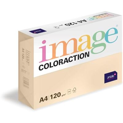 Antalis Image Coloraction Dune farbiges Kopierpapier DIN A4, 210 x 297 mm, 120 g/m² buntes, holzfreies Druckerpapier für Kopierer 250 Blatt Creme Antalis Image Coloraction Dune farbiges Kopierpapier DIN A4, 210 x 297 mm, 120 g/m² buntes, holzfreies Druckerpapier für Kopierer 250 Blatt Creme