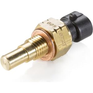 HELLA 6PT 009 107-271 senzor, teplota chladicí kapaliny 12 V 2pólová šroubovaná s těsněním HELLA 6PT 009 107-271 senzor, teplota chladicí kapaliny 12 V 2pólová šroubovaná s těsněním