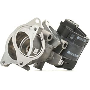 Delphi EG10396-12B1 AGR-Ventil Abgasrückführungsventil ohne Dichtungen ohne AGR-Kühler Kompatibel mit FORD MONDEO IV Turnier BA7 1231964 EG10396 161831 Delphi EG10396-12B1 AGR-Ventil Abgasrückführungsventil ohne Dichtungen ohne AGR-Kühler Kompatibel mit FORD MONDEO IV Turnier BA7 1231964 EG10396 161831
