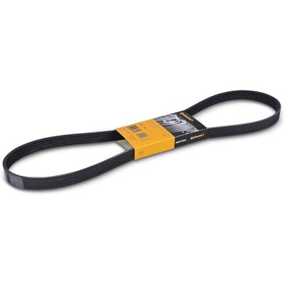 CONTITECH 6PK1180 klínový žebrovaný řemen CONTITECH 6PK1180 klínový žebrovaný řemen