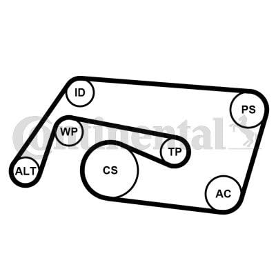 CONTITECH 6PK2260K2 Keilrippenriemensatz 6-Rippenanzahl + Spannrolle + Umlenkrolle Kompatibel mit MERCEDES-BENZ C-Klasse Limousine W203 0019938696 078903137K 05080243AA CONTITECH 6PK2260K2 Keilrippenriemensatz 6-Rippenanzahl + Spannrolle + Umlenkrolle Kompatibel mit MERCEDES-BENZ C-Klasse Limousine W203 0019938696 078903137K 05080243AA