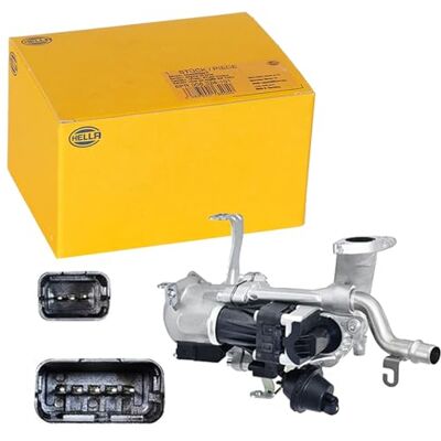 HELLA 6NU 010 171-181 EGR ventil elektrický-pneumatický s těsněními/s chladičem EGR HELLA 6NU 010 171-181 EGR ventil elektrický-pneumatický s těsněními/s chladičem EGR
