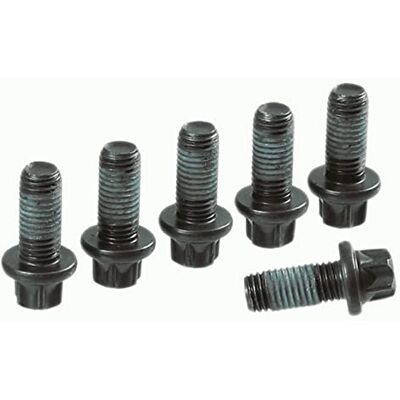 SACHS 1874 000 065 Schraubensatz Schwungrad für Ford Fiesta VII (HJ, HF) 2017 und Andere Fahrzeuge SACHS 1874 000 065 Schraubensatz Schwungrad für Ford Fiesta VII (HJ, HF) 2017 und Andere Fahrzeuge