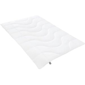 IRISETTE Badenia Bettcomfort Micro Thermo Přikrývka IRISETTE Badenia Bettcomfort Micro Thermo Přikrývka
