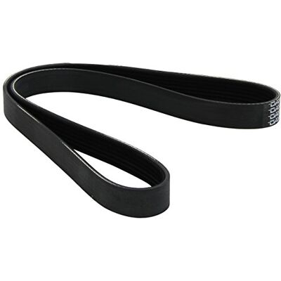 Dayco Metzger 6PK1013 Keilrippenriemen, schwarz / weiß Dayco Metzger 6PK1013 Keilrippenriemen, schwarz / weiß